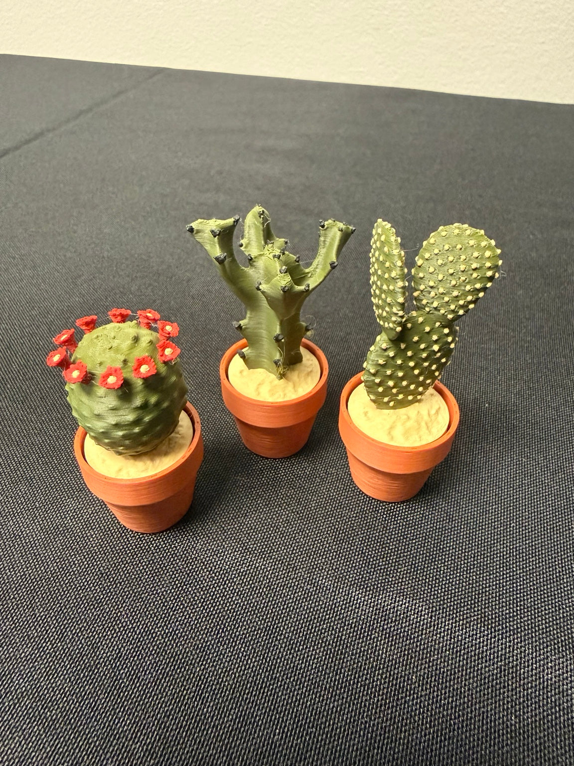 Bunny Ear, Coral and Flowering Barrel cactus clickers in orange pots