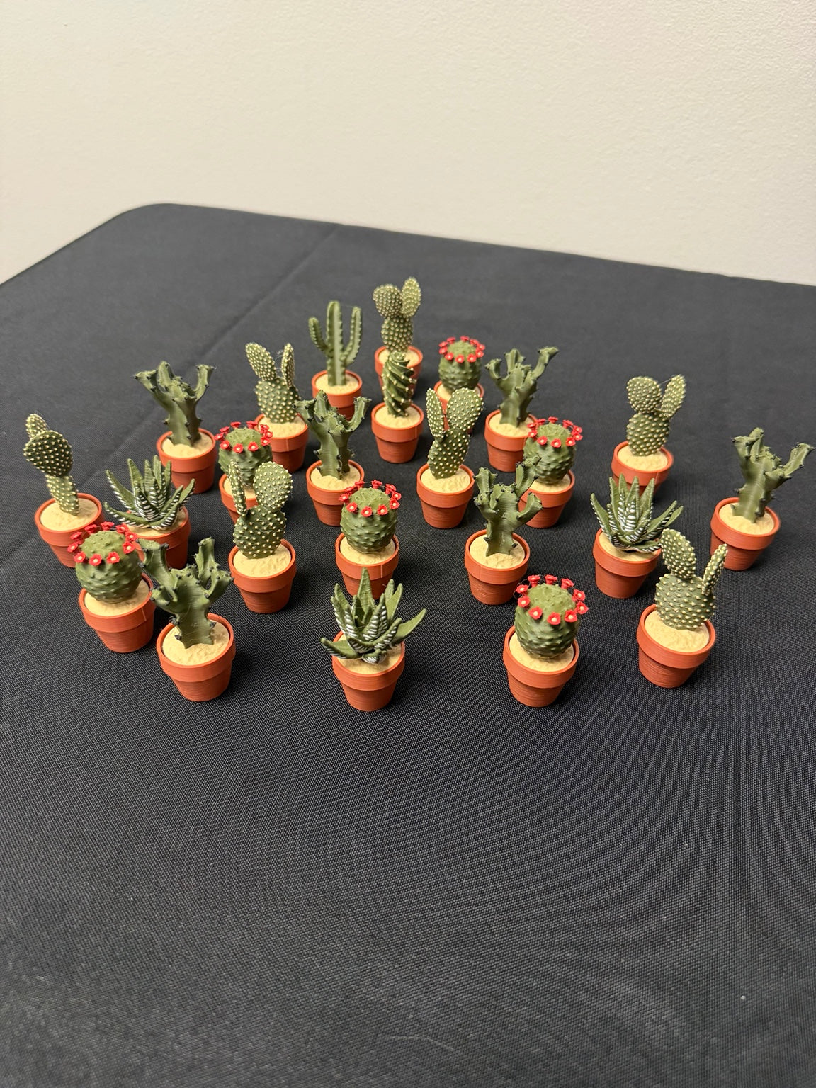 Mixed plant fidget collection in orange pots, including Zebra Plant spinners and cactus clickers