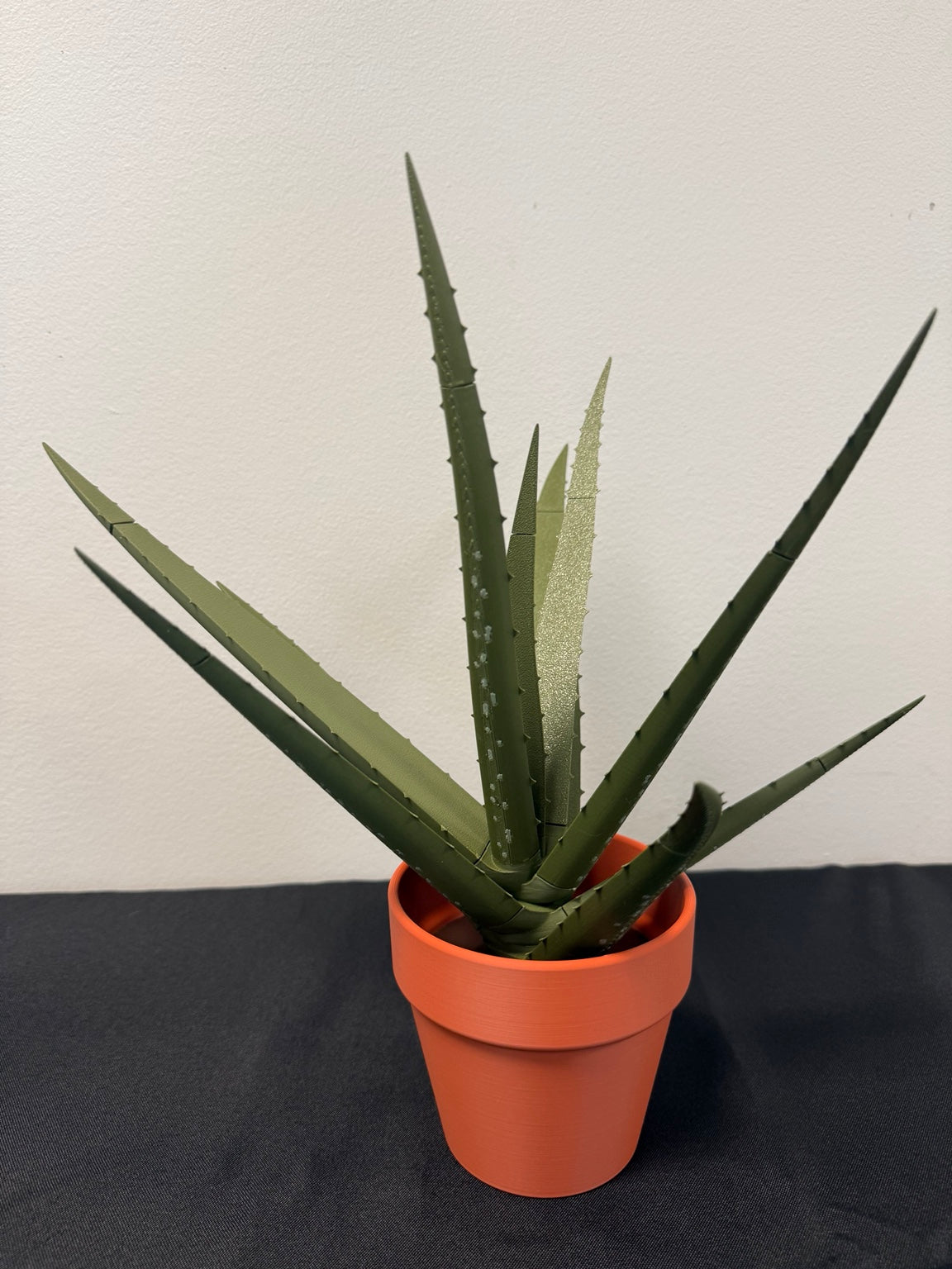 Aloe vera pen plant assembled