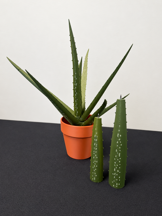 Product photo: aloe