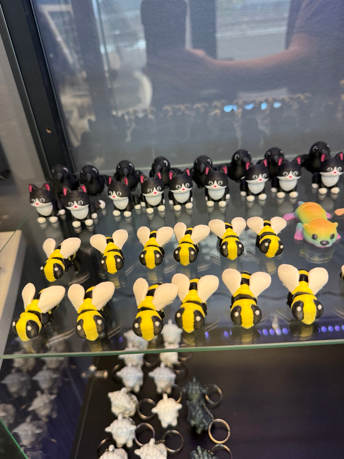 Bumblebee fidget examples displayed on a glass shelf