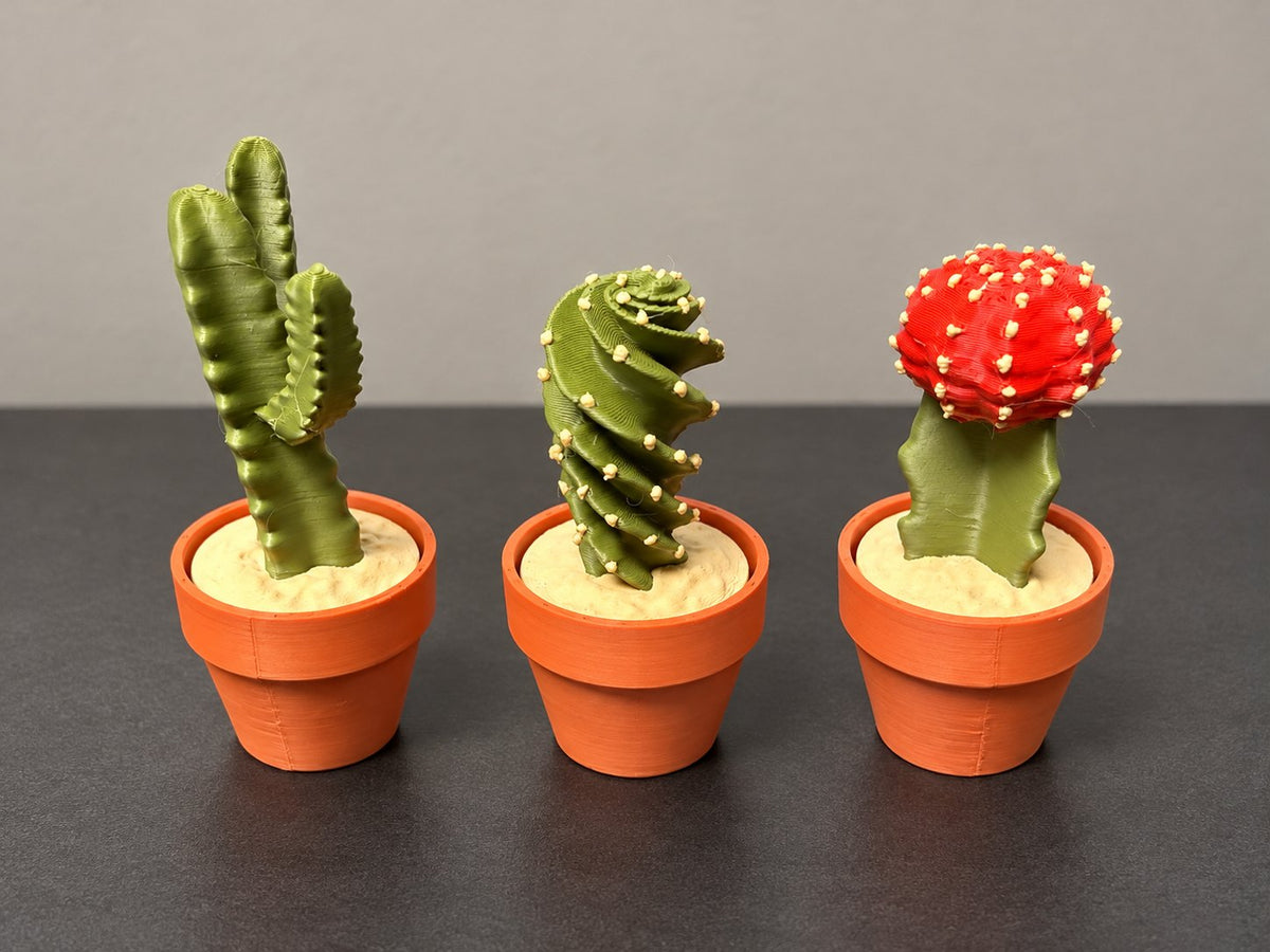 Three-piece cactus clicker set