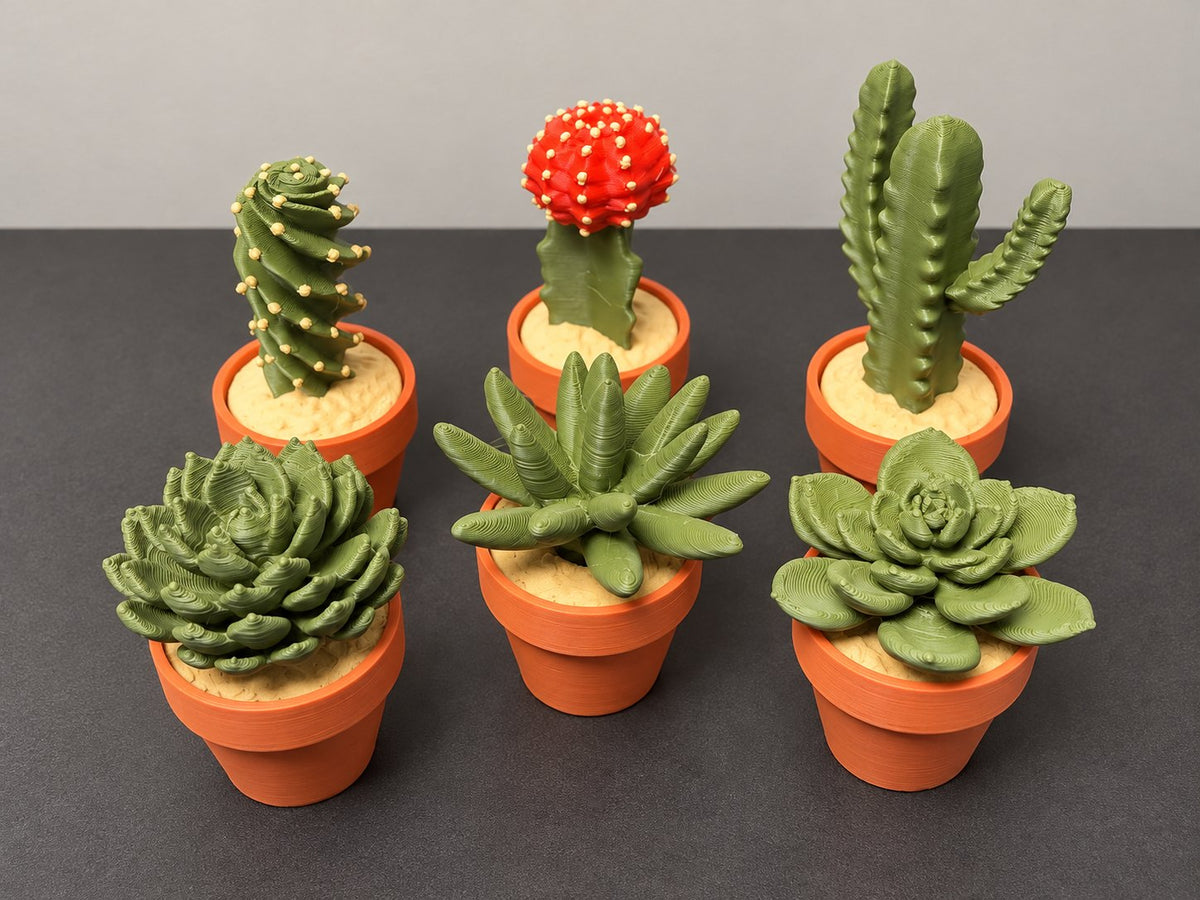 Six-piece collection: three succulent spinners and three cactus clickers