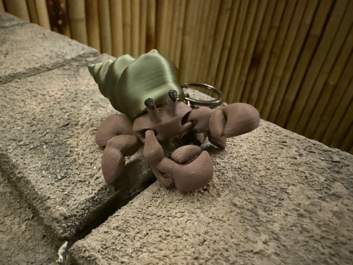 Original photograph of green-shell hermit crab keychain