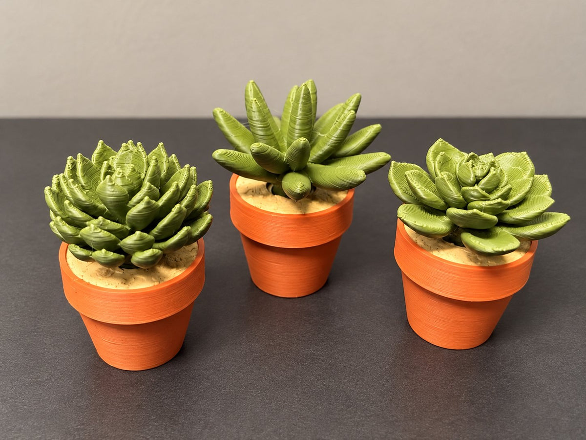 Three-piece succulent clicker set: Spiky, Rosette and Rounded