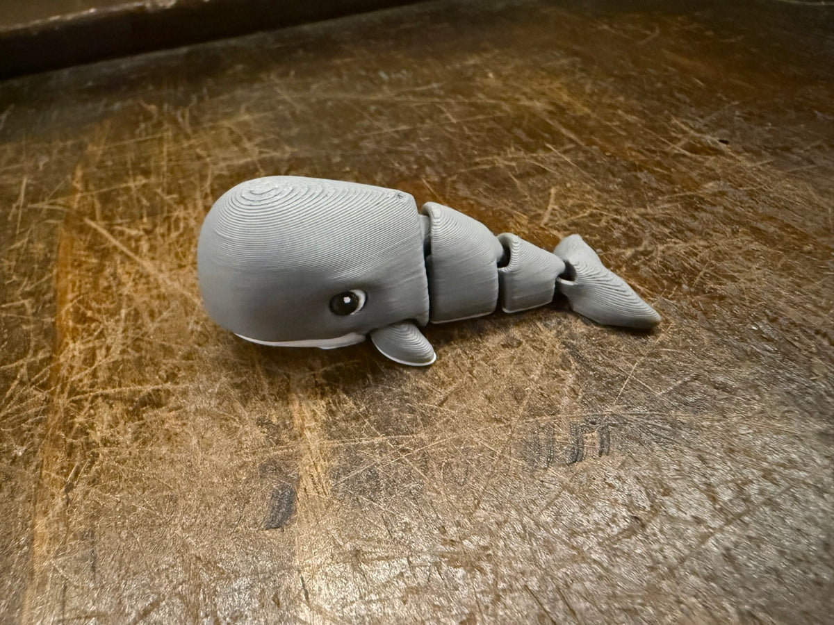 Original photograph of gray articulated whale
