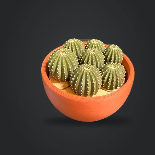 Seven green cactus fidgets in an orange bowl with a sand-colored base