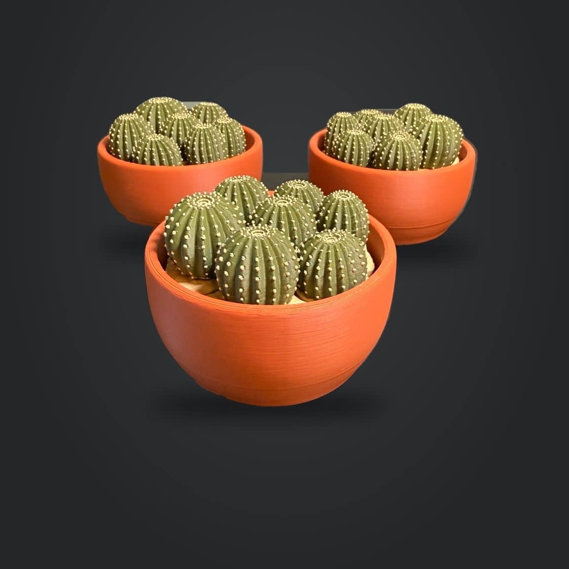 Three cactus cluster fidget bowls shown from the front on a charcoal backdrop