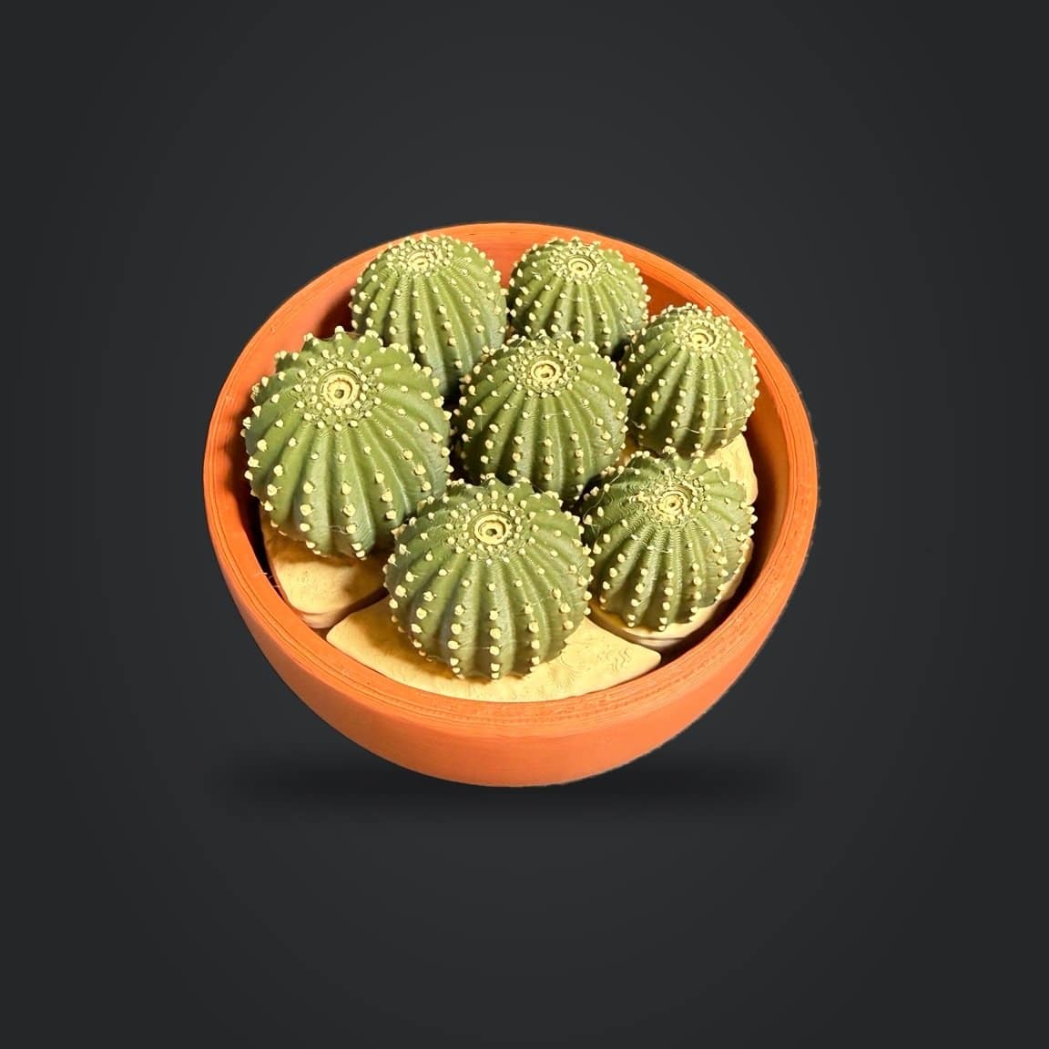 Overhead view of the cactus cluster fidget bowl and segmented sand-colored base