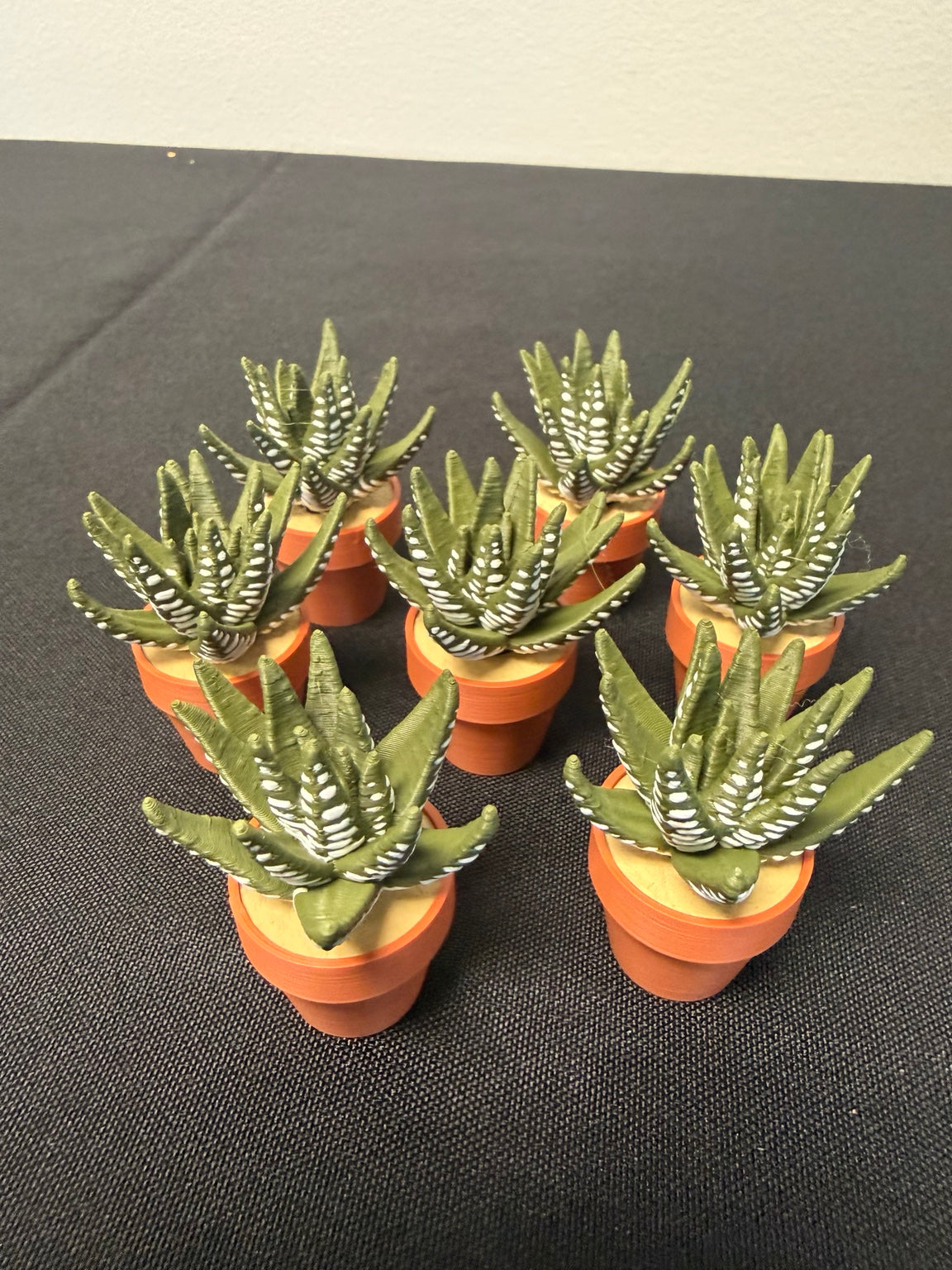 Mix & Match Plant Fidgets — Clickers & Spinners – Urban Escape Prints